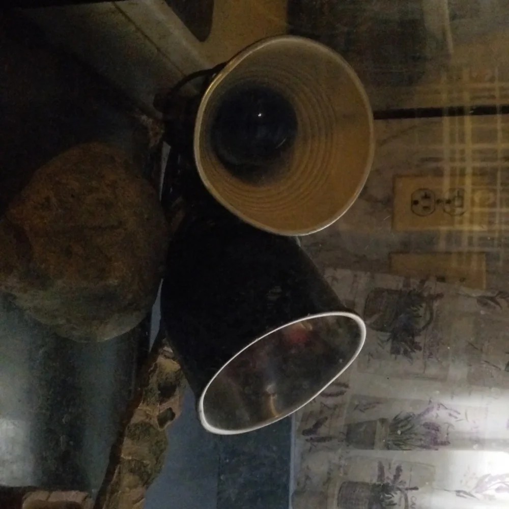 100 gallon fish tank reptile